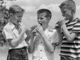 Three Boys All Wearing Short Sleeve Shirts and Two With Crew Cuts Eating Hot Dogs Photographie par H. Armstrong Roberts