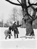 Two Children Pulling Sled, Looking Up Birdhouse in Tree, Winter Photographic Print by H. Armstrong Roberts