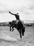 Rodeo Cowboy Photographie par H. Armstrong Roberts
