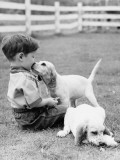 Little Boy Sitting in Grass With One Setter Puppy Licking Face and Another Lying in Grass Photographic Print by H. Armstrong Roberts