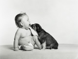 Baby and Dog Photographie par H. Armstrong Roberts