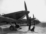Spitfires at Duxford Photographic Print