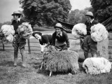 Women's Land Army Photographic Print