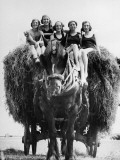 Ride on Hay Cart Photographic Print