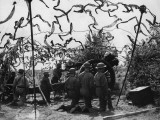 Camouflaged Guns Photographic Print