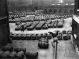 Wine Barrels Photographic Print