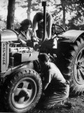 Land Army Photographic Print