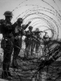 Barbed Wire Photographic Print