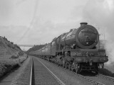 Train Service Lámina fotográfica