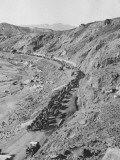 Army Mules - Fotografik Baskı
