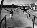 Swallow Dives Photographic Print