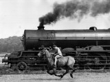 Steamy Steed Reprodukcja zdjęcia