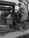Well-Bred Photographic Print