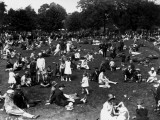 Zoo Picnic Photographic Print