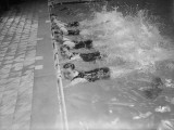 In the Pool Photographic Print
