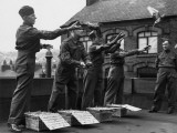 Latest Recruits Photographic Print