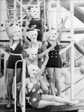 Bag Ladies Photographic Print