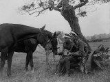 Sharing Photographic Print