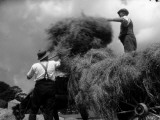 La fenaison Photographie par Chaloner Woods