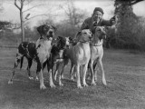 Bloodhounds Photographic Print