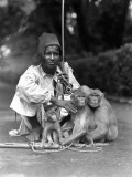 Performing Monkeys Photographic Print by Charles Phelps Cushing