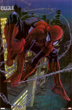 Spider-Man - Amazing Photo