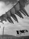 Washing Day Photographic Print by Chaloner Woods