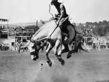 Man Riding Bucking Horse in Rodeo Photographic Print Man Riding Bucking Horse in Rodeo Photographic Print