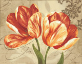Colori II Póster por Pamela Gladding
