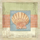 Montego Scallop Posters par Paul Brent