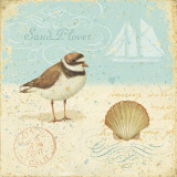 Natural Seashore I Prints by Daphne Brissonnet