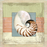 Montego Nautilus Lámina por Paul Brent Montego Nautilus Lámina por Paul Brent