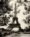 Eiffel Tower II Print by Amy Melious