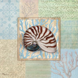 Oceanic Shell Collage III Affiches par Paul Brent