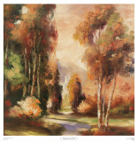 Mountainview Point Prints by Adam Rodgers