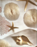 Nautical Illuminations No.1 Prints by Alan Blaustein
