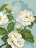 Camellias Prints by Pamela Gladding
