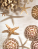Nautical Illuminations No.3 Prints by Alan Blaustein