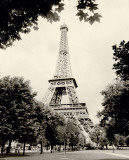 Tour Eiffel I Poster par Amy Melious