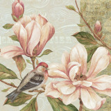Magnolia Collage II Prints by Pamela Gladding