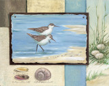 Sandpiper Collage I Pósters por Paul Brent Sandpiper Collage I Pósters por Paul Brent