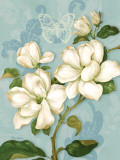 Magnolias Posters by Pamela Gladding
