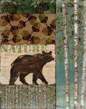Nature Trail II Affiches par Paul Brent
