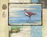 Sandpiper Collage II Arte por Paul Brent Sandpiper Collage II Arte por Paul Brent