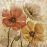 Poppy Allure I Posters por Conrad Knutsen