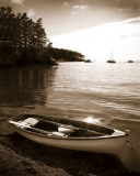 Sucia Island Poster by Danita Delimont Sucia Island Poster by Danita Delimont