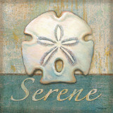 Serene Poster van Todd Williams