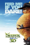 Shrek Forever After Posters