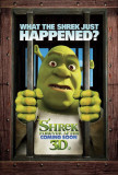 Shrek Forever After Affiche