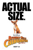 Beverly Hills Chihuahua Posters